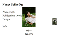 Tablet Screenshot of nancyselineng.com